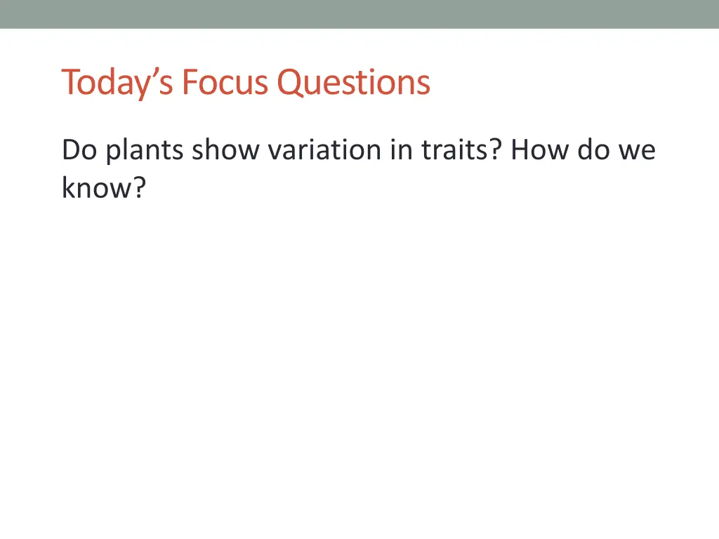 today s focus questions