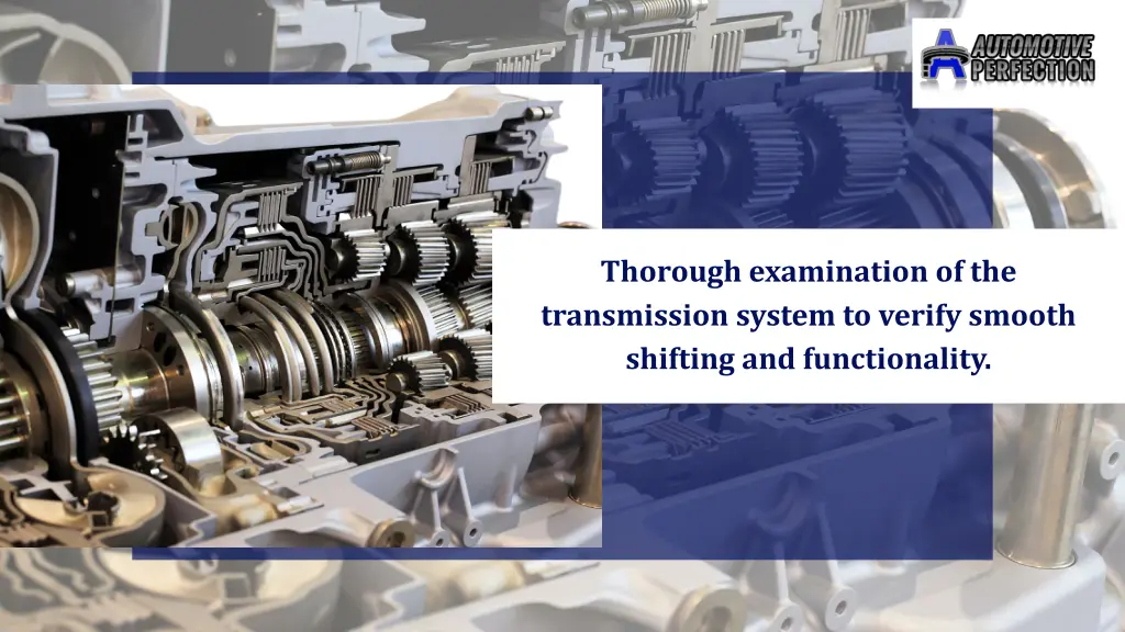 thorough examination of the transmission system