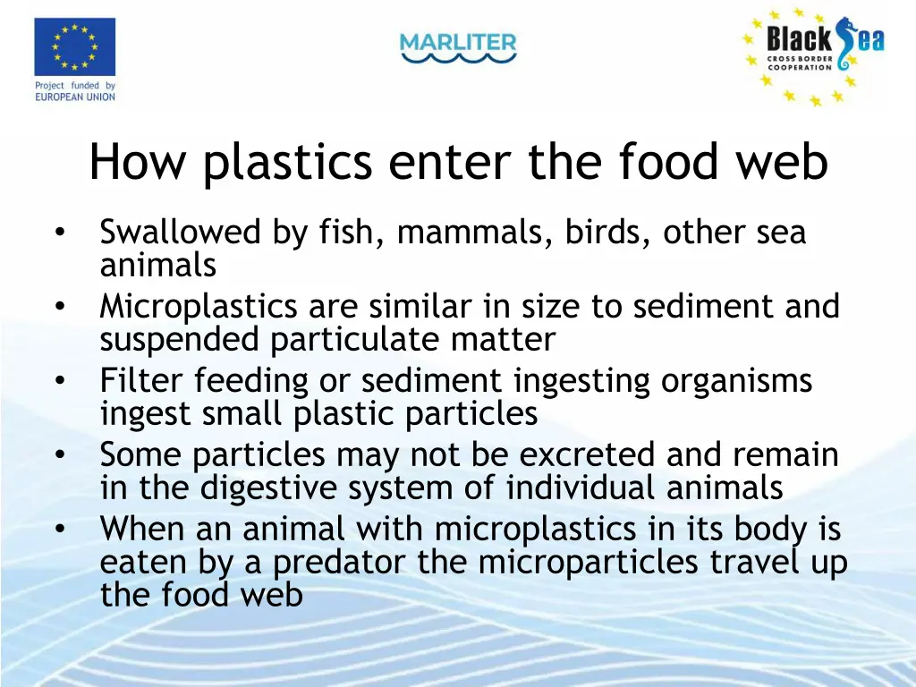 how plastics enter the food web