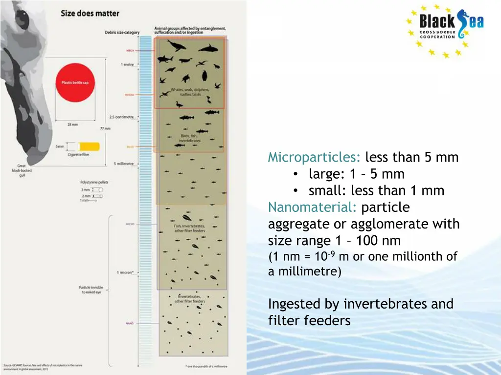 microparticles less than 5 mm large 1 5 mm small