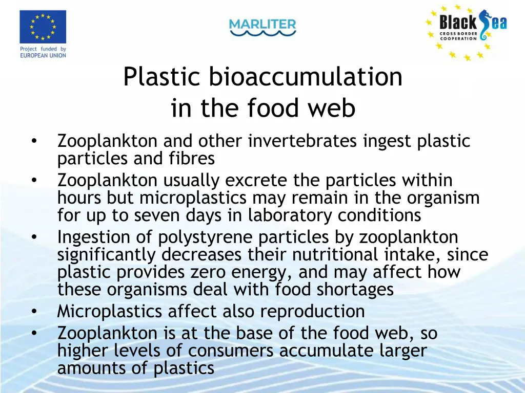 plastic bioaccumulation in the food