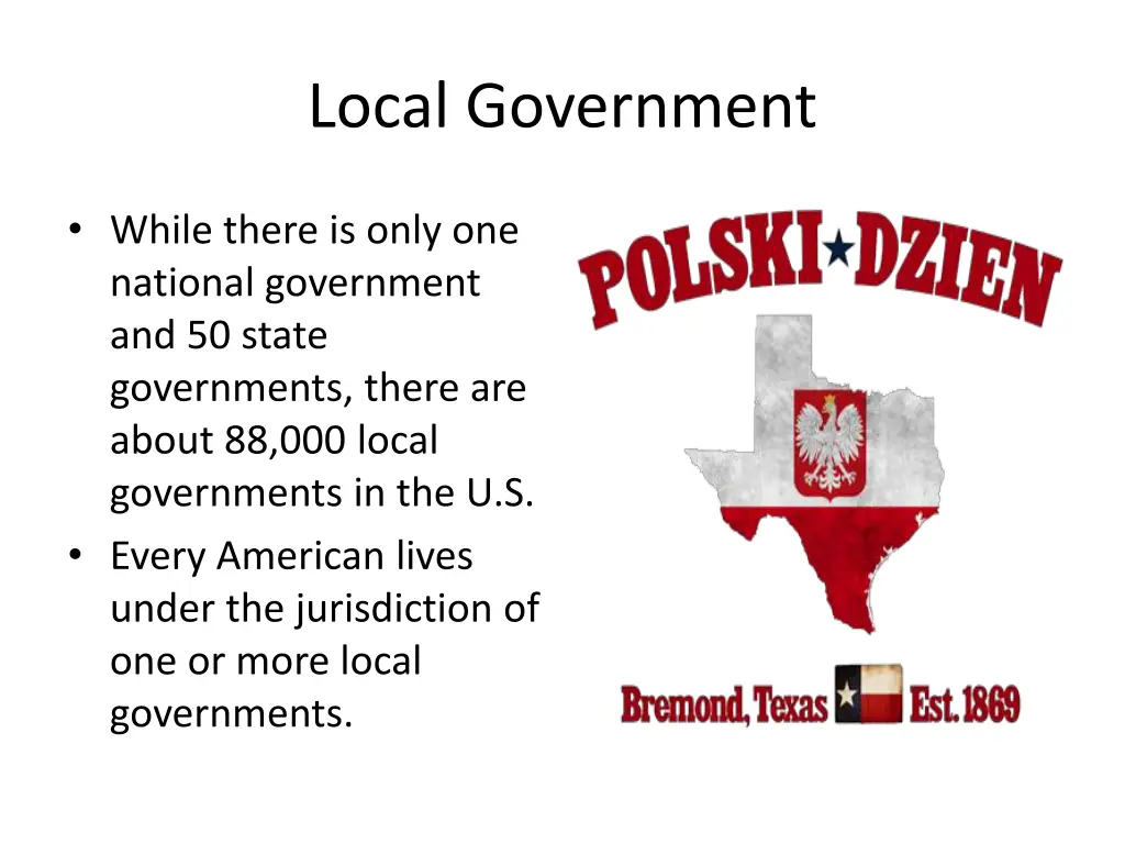 local government