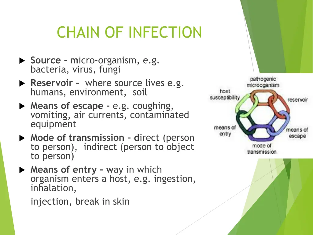 chain of infection