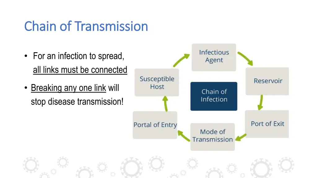 chain of transmission chain of transmission