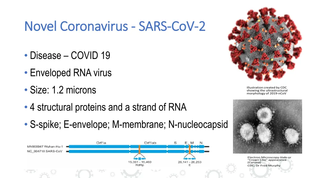 novel coronavirus novel coronavirus sars