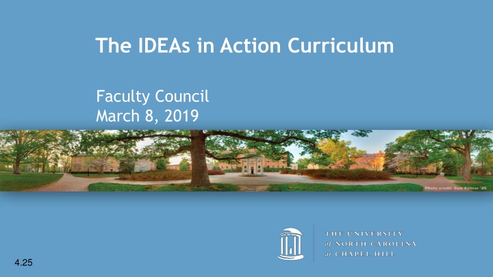 the ideas in action curriculum