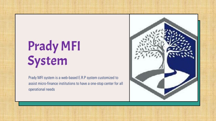 prady mfi system