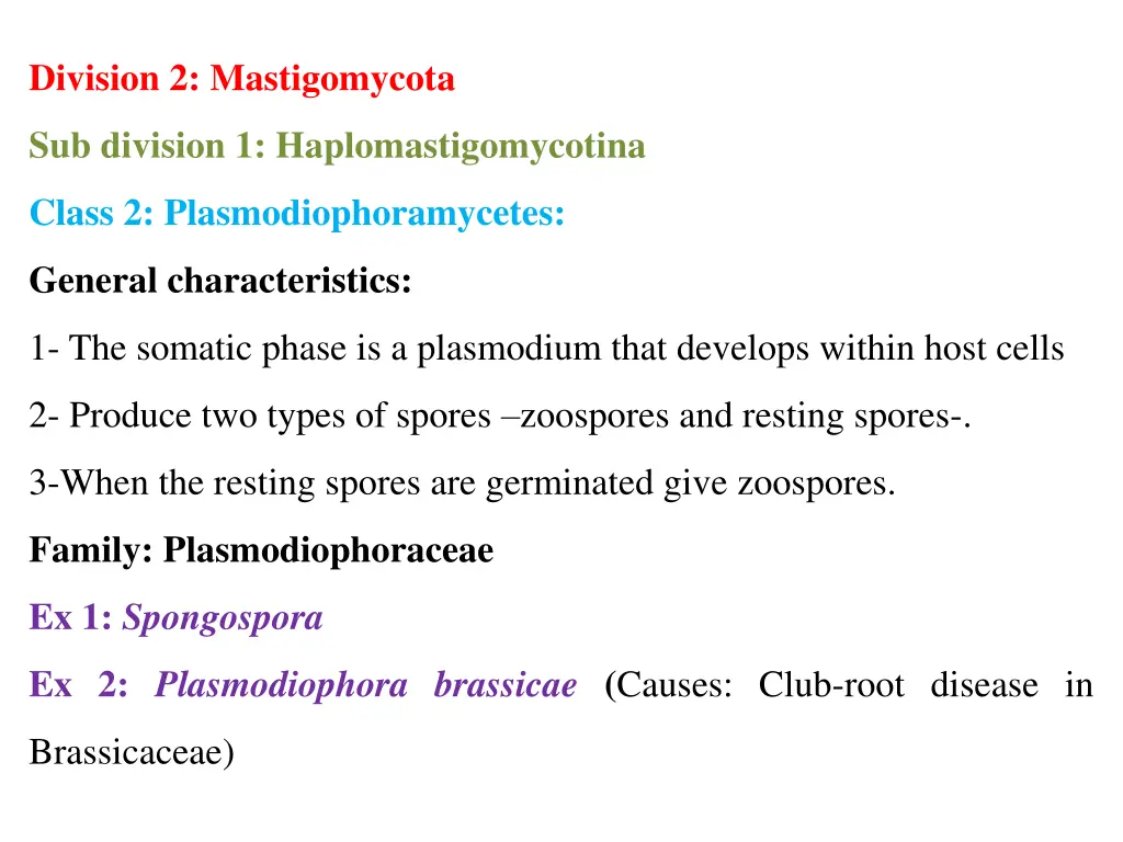 division 2 mastigomycota 1