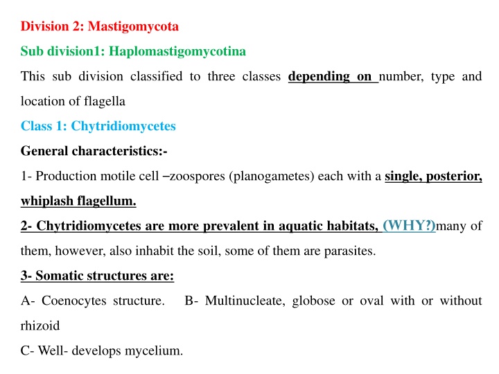 division 2 mastigomycota