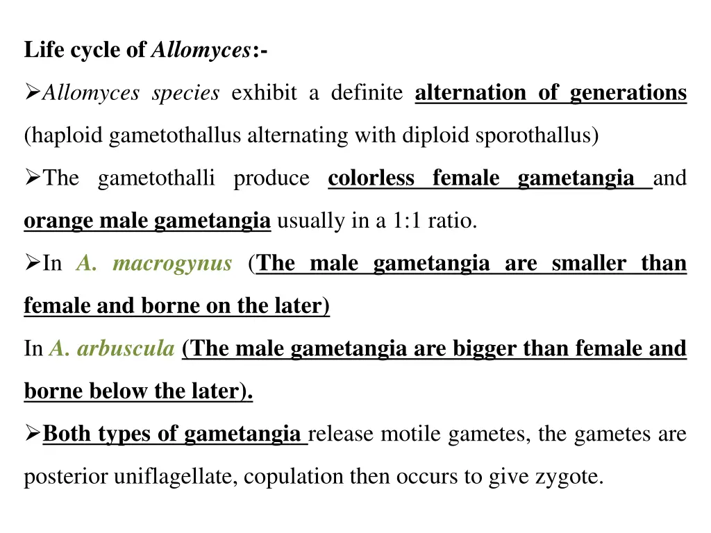 life cycle of allomyces