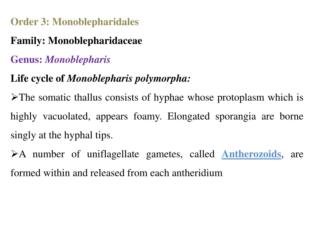 order 3 monoblepharidales