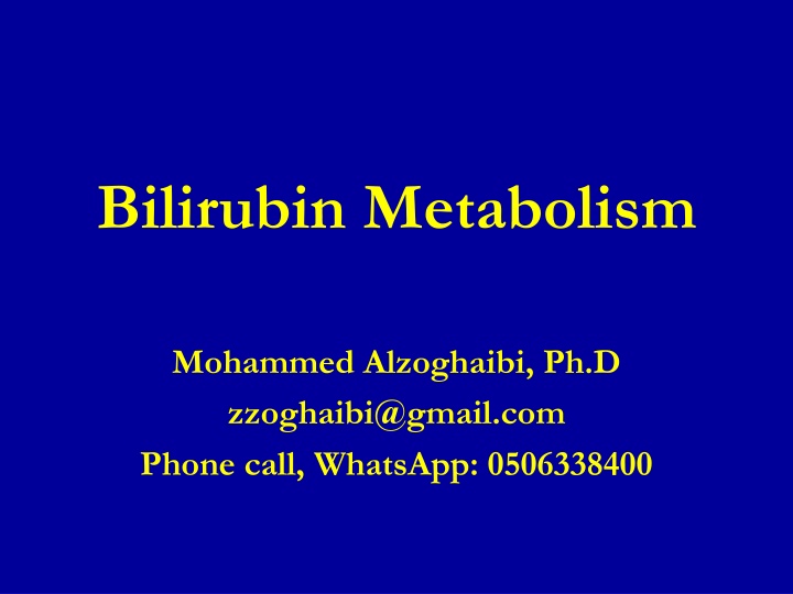 bilirubin metabolism