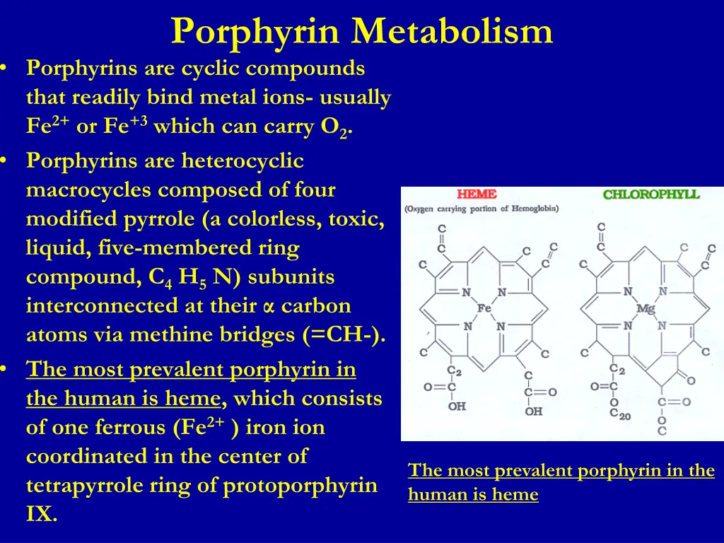 porphyrin metabolism porphyrins are cyclic