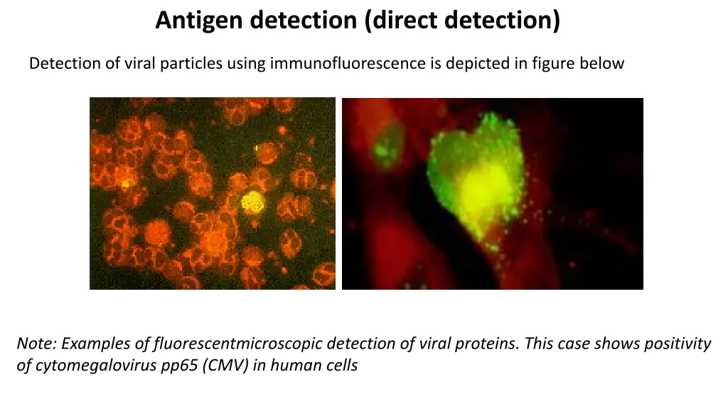 antigen detection direct detection 1