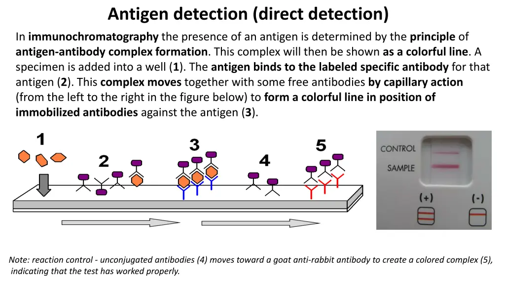 antigen detection direct detection