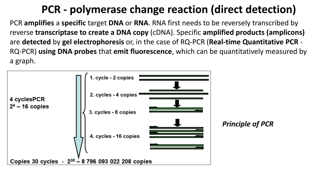 pcr polymerase change reaction direct detection