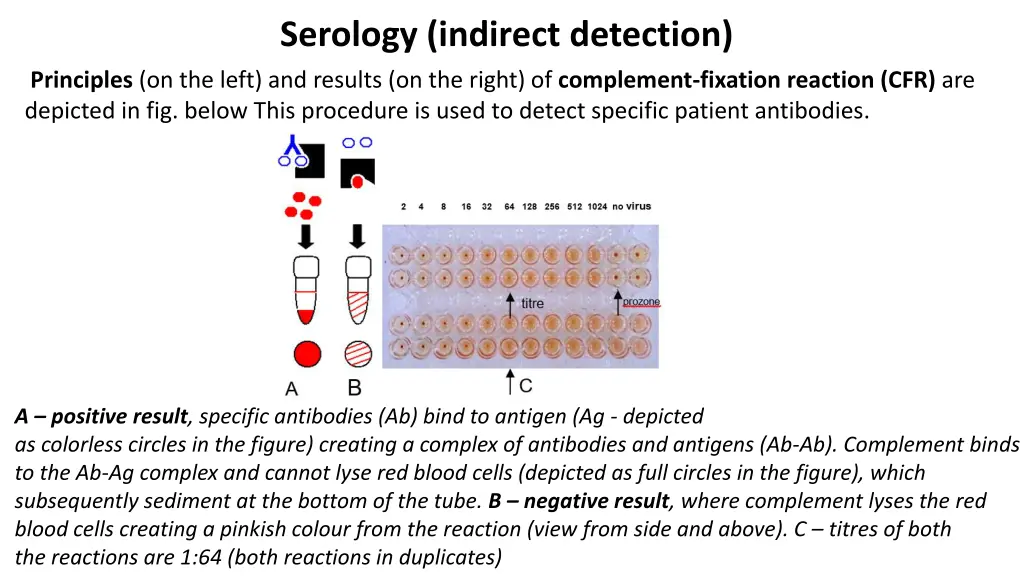 serology indirect detection 1