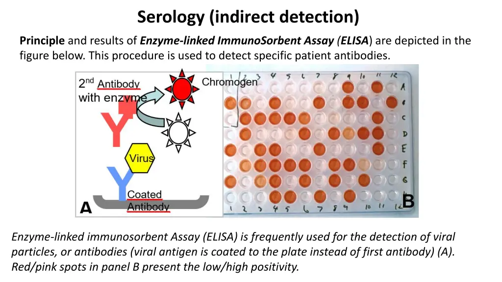 serology indirect detection