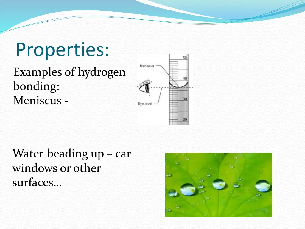 properties examples of hydrogen bonding meniscus