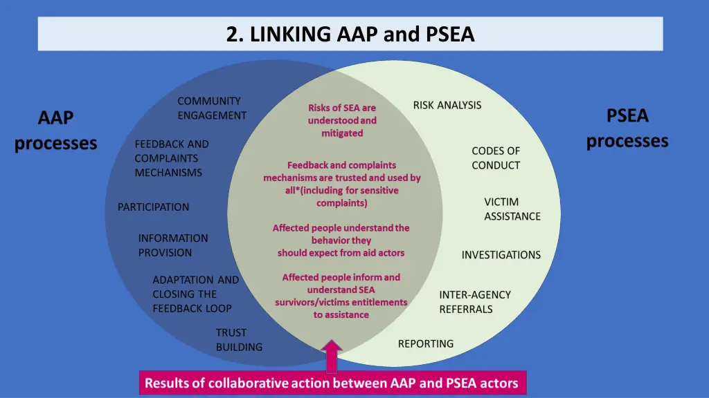 2 linking aap and psea