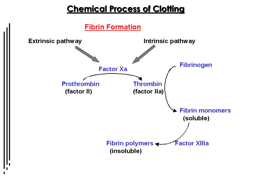 chemical process of clotting