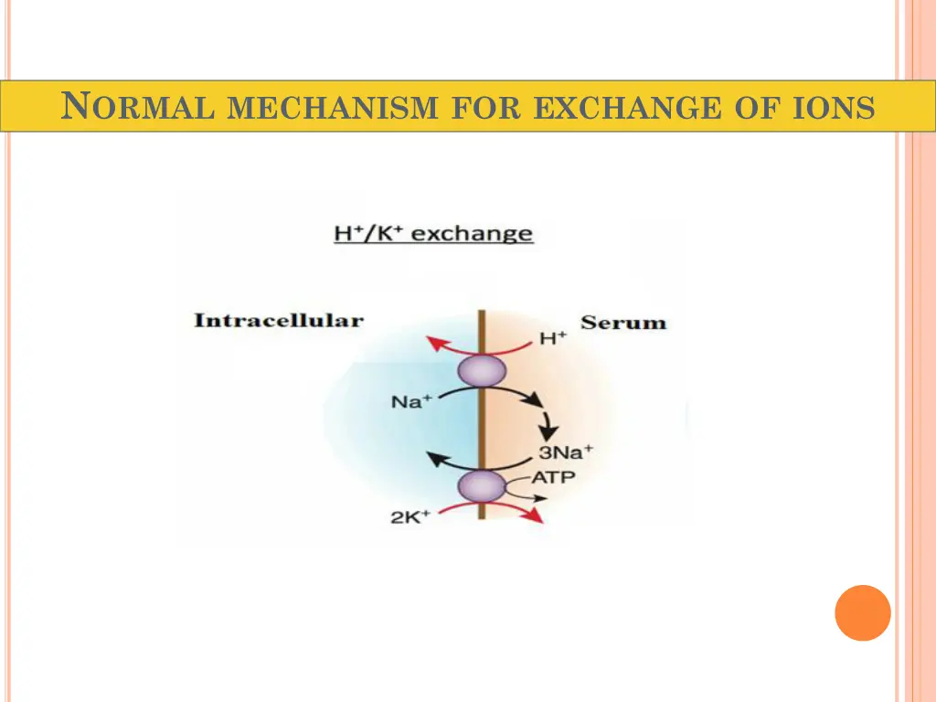 n ormal mechanism for exchange of ions