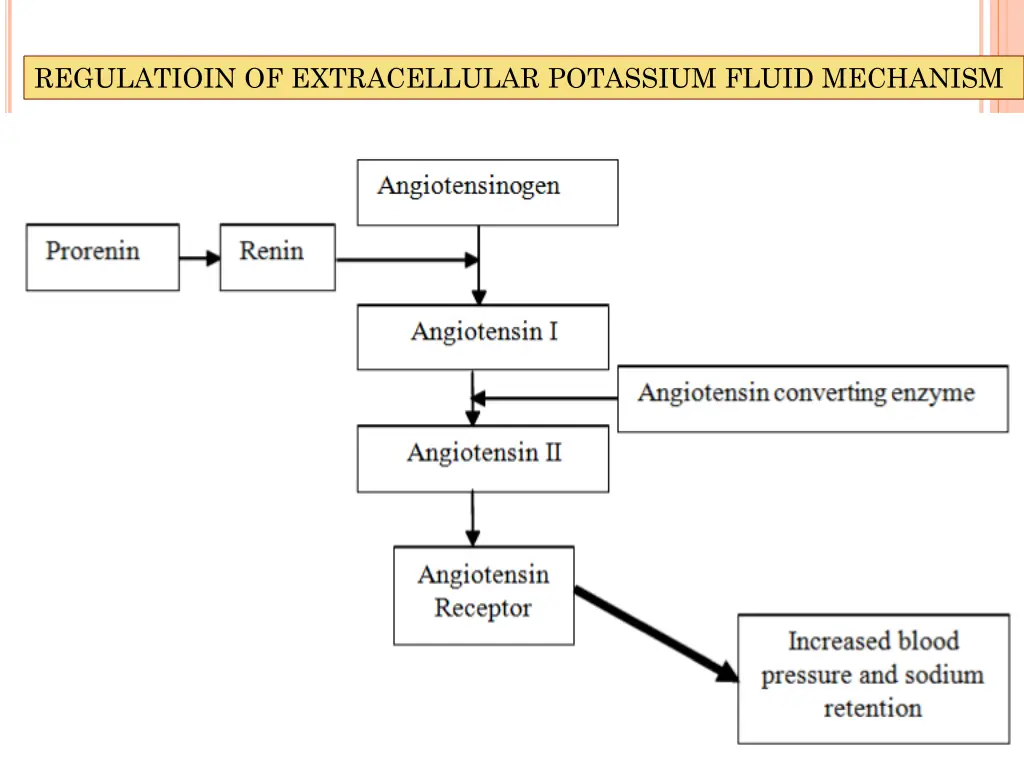 regulatioin of extracellular potassium fluid