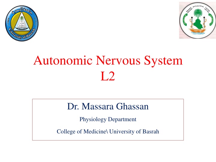 autonomic nervous system l 2