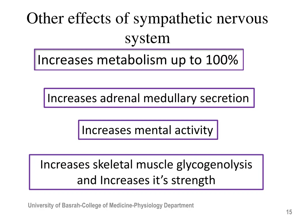 other effects of sympathetic nervous system