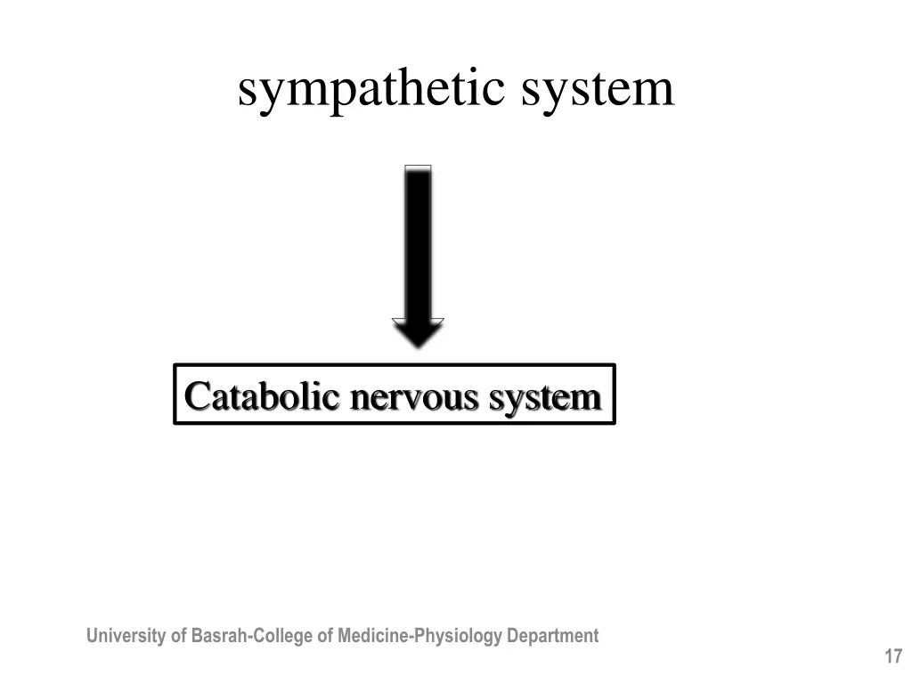 sympathetic system