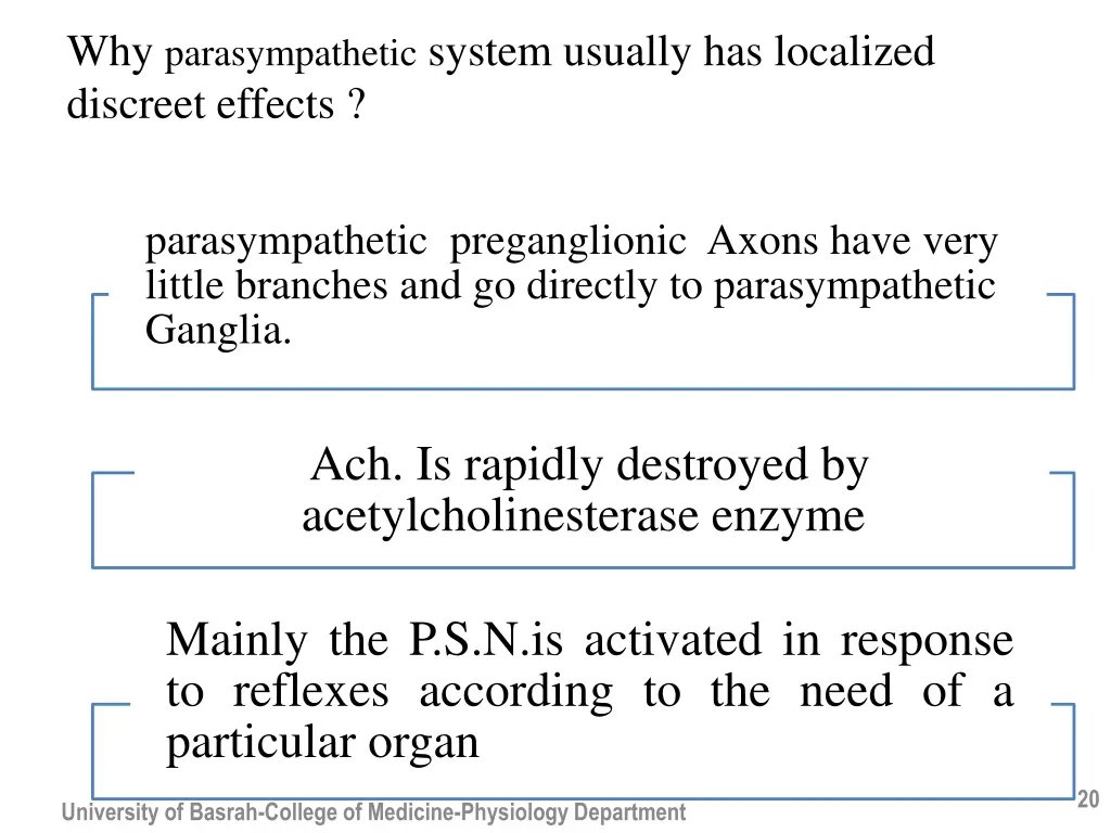 why parasympathetic system usually has localized