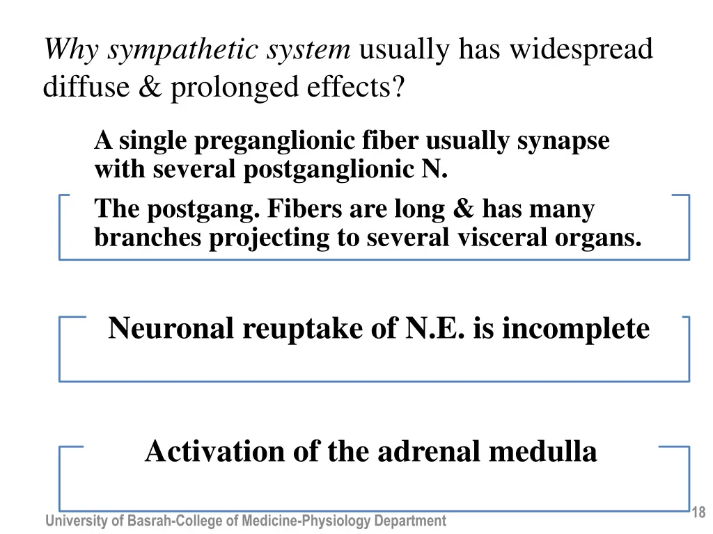 why sympathetic system usually has widespread