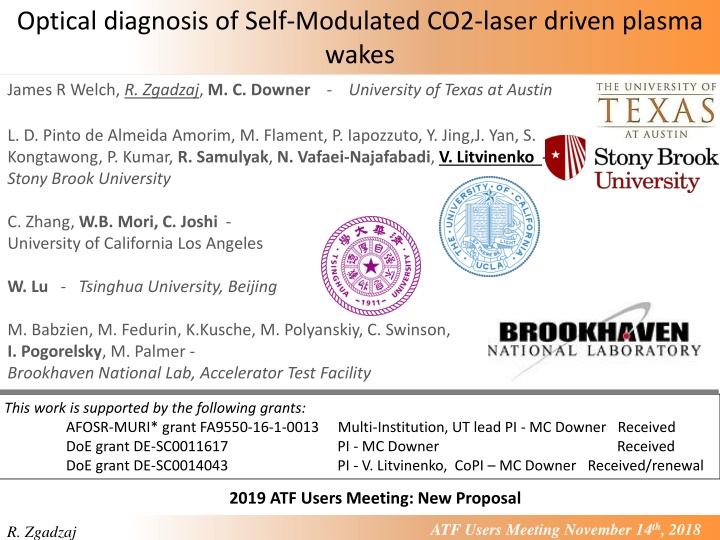 optical diagnosis of self modulated co2 laser