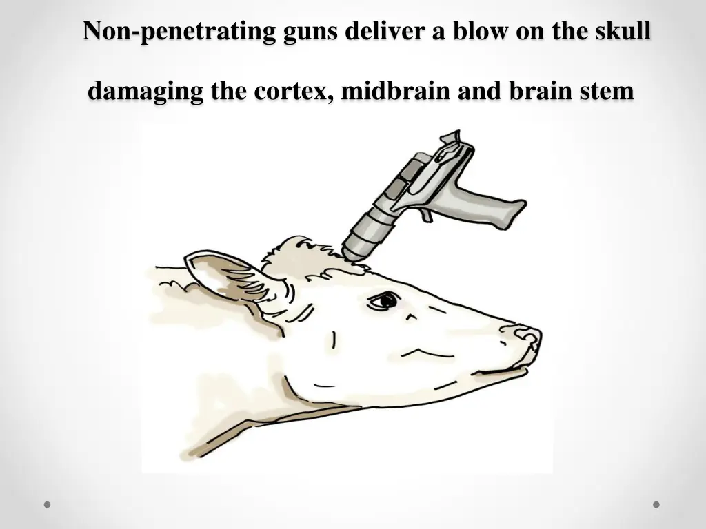 non penetrating guns deliver a blow on the skull