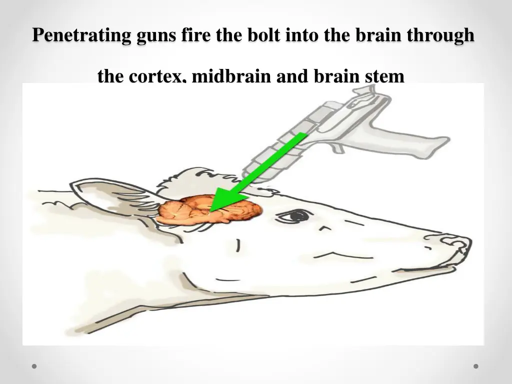 penetrating guns fire the bolt into the brain