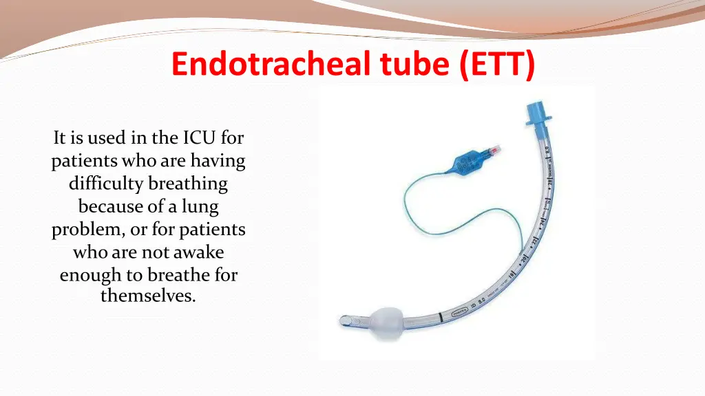 endotracheal tube ett