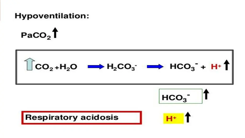 slide13