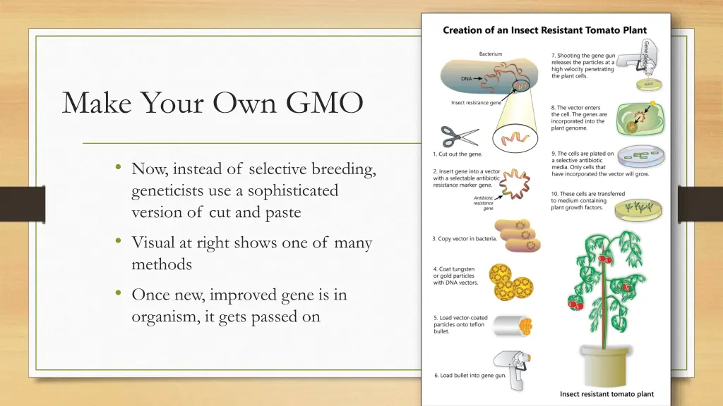 make your own gmo