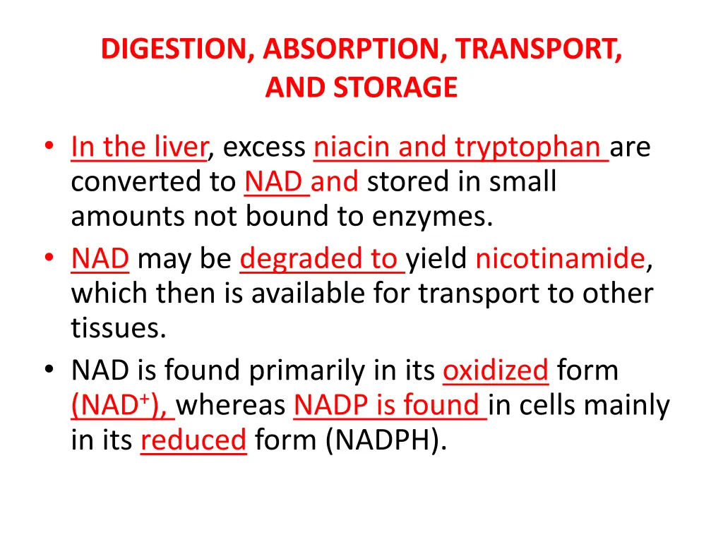 digestion absorption transport and storage 3