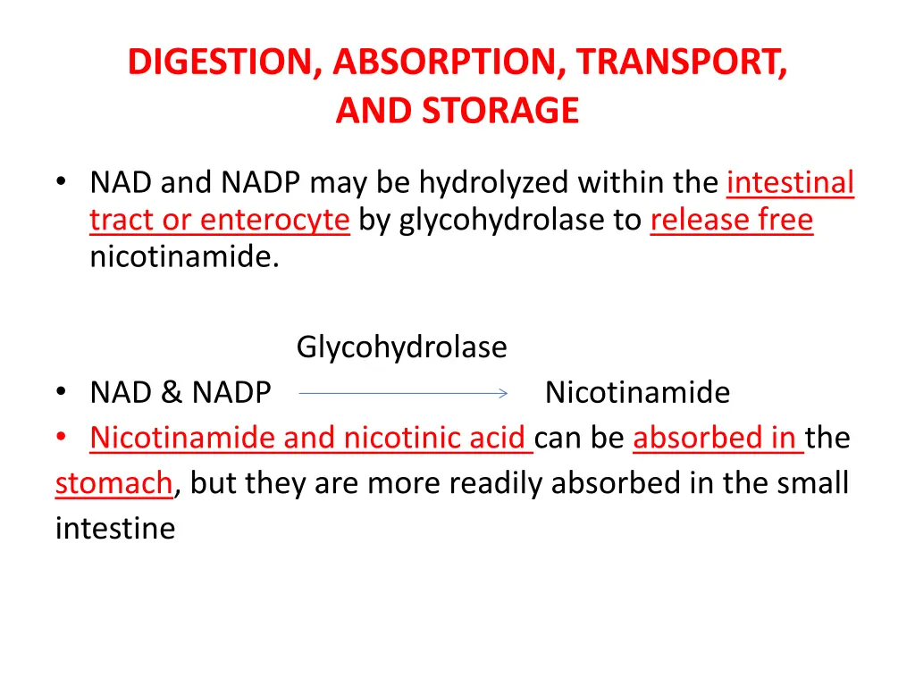 digestion absorption transport and storage