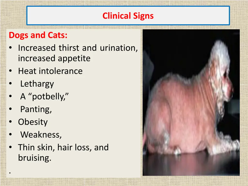 clinical signs