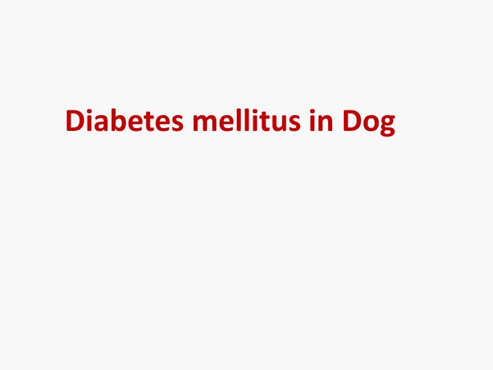 diabetes mellitus in dog