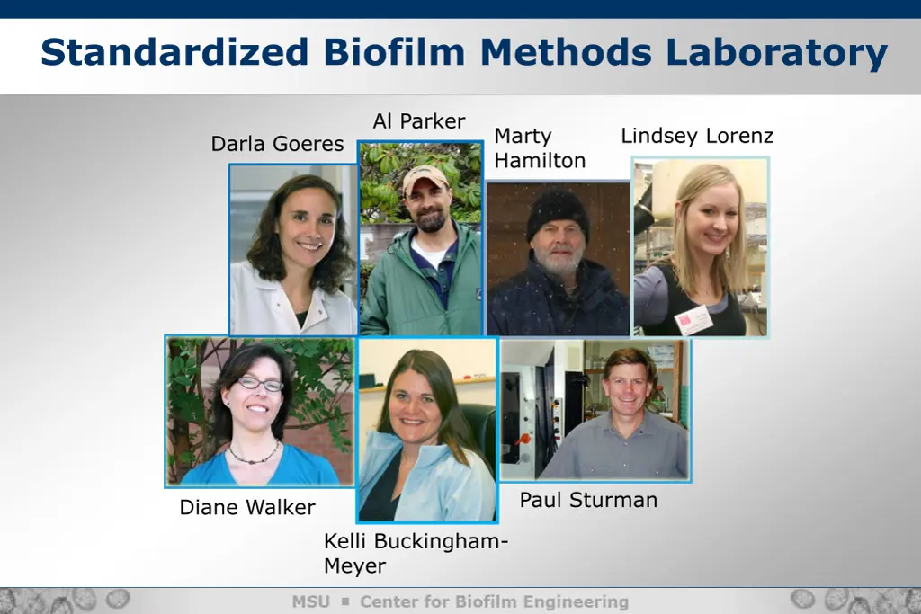 standardized biofilm methods laboratory