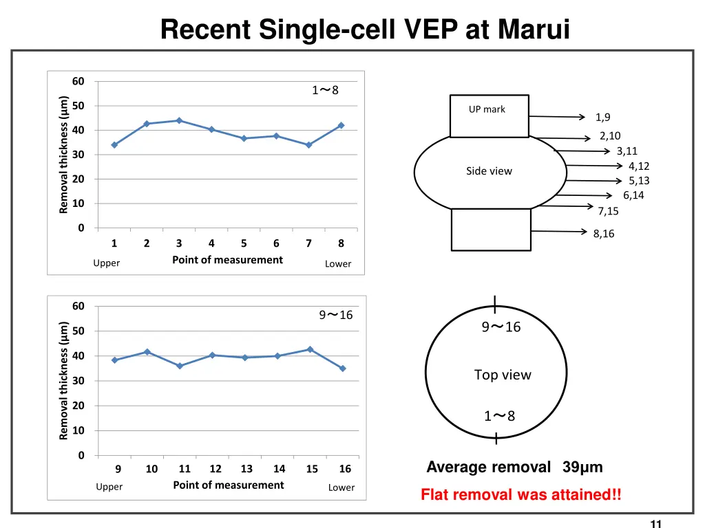 recent single cell vep at marui 3