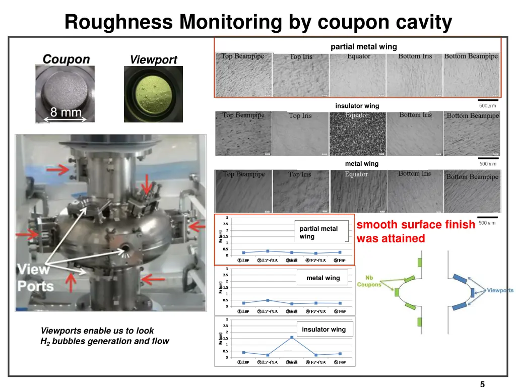 roughness monitoring by coupon cavity