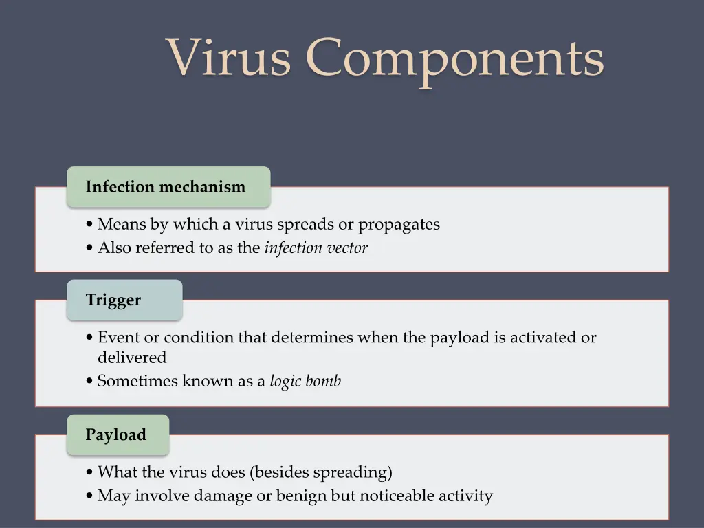 virus components