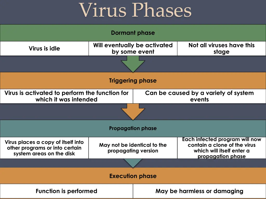 virus phases