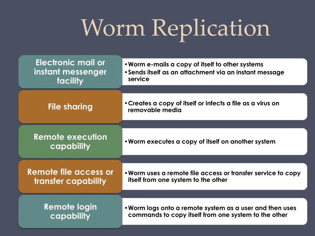 worm replication