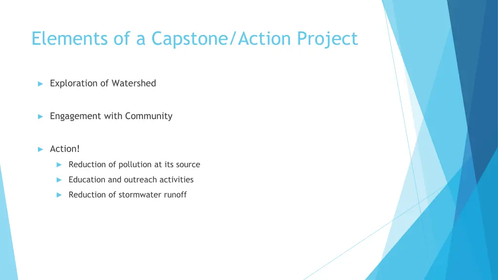 elements of a capstone action project