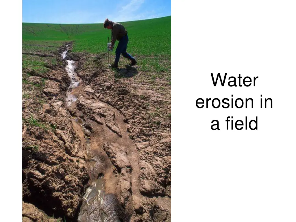 water erosion in a field